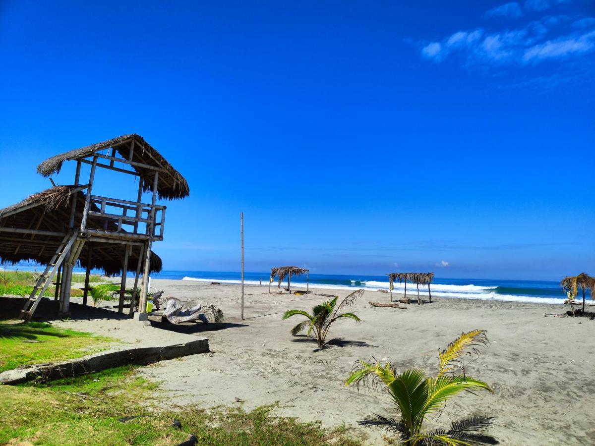 Hotel Punta Azul Pedernales Ngoại thất bức ảnh